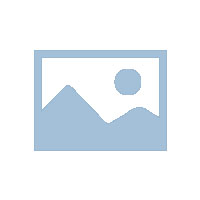 如何查看我的网站是否被百度收录？